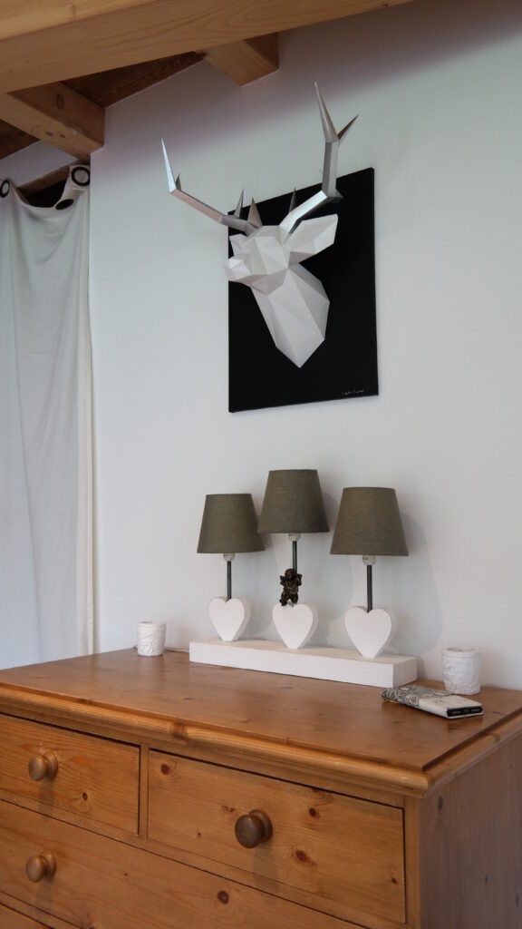 D&M HomeStyling Construction d’un chalet design, la chapelle d’abondance, grande famille, conseil aménagement déco