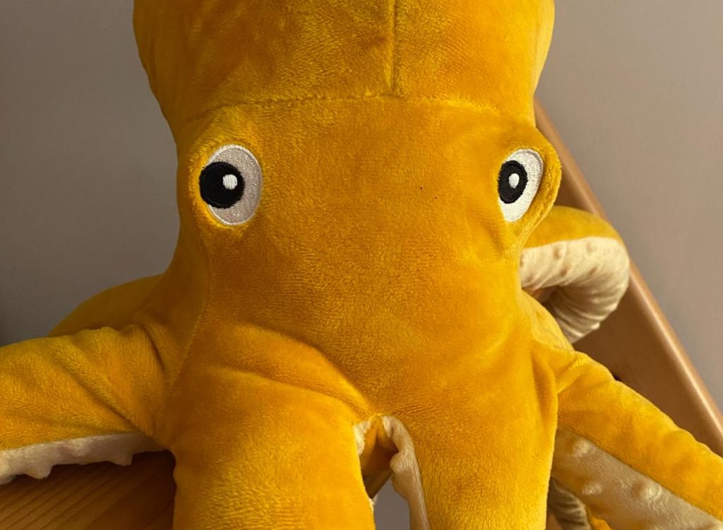 WhatsApp-Image-2024-04-11-a-14.28.37_771994b4-qq0neud8g4hhxtl77xdevm1gflxa5jqd84158vgrbg