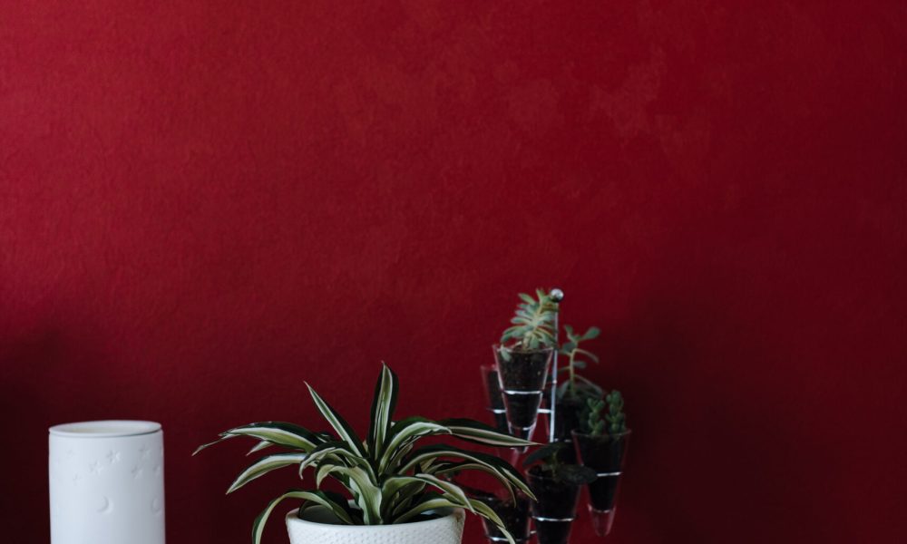HomeConcepting pour réaménagement D&M Homestyling lieu de vie agréable les pièces et réinventer totalement la maison plus d’harmonie améliorations dans l’exploitation des espaces agréable et harmonieux pour le quotidien