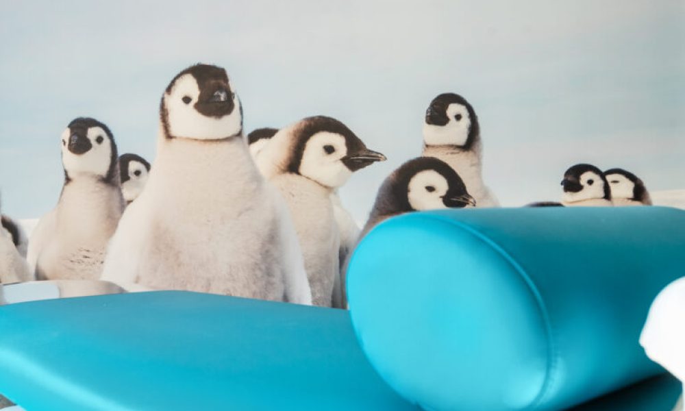 salle-soin-3-768x614