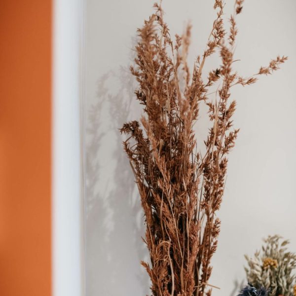 vegetal_deco_interieur_maison_appartement-scaled-pml3epkbaj0kfw876zdkqzo7owwkyc2eaml43wuclc